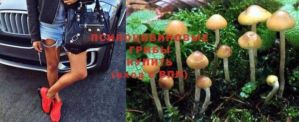 бутират Арсеньев