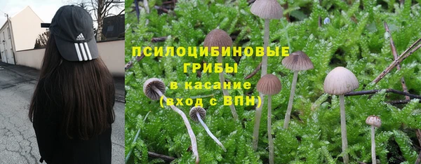бутират Арсеньев