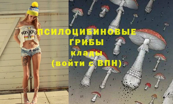 PSILOCYBIN Армянск