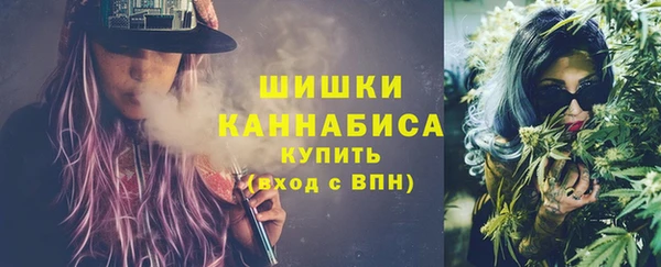 PSILOCYBIN Армянск
