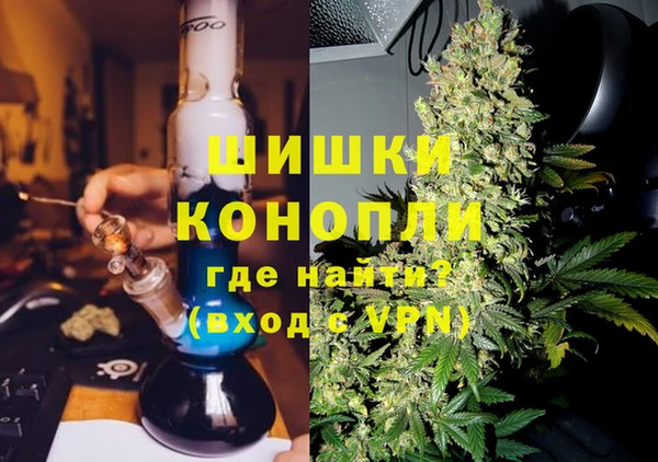 PSILOCYBIN Армянск